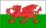 Welsh Language Website