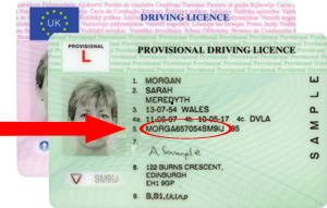 UK sample driving licence